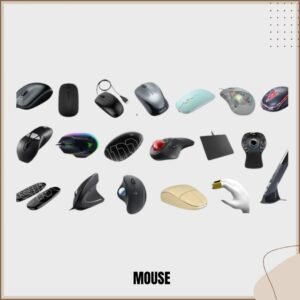 MOUSES