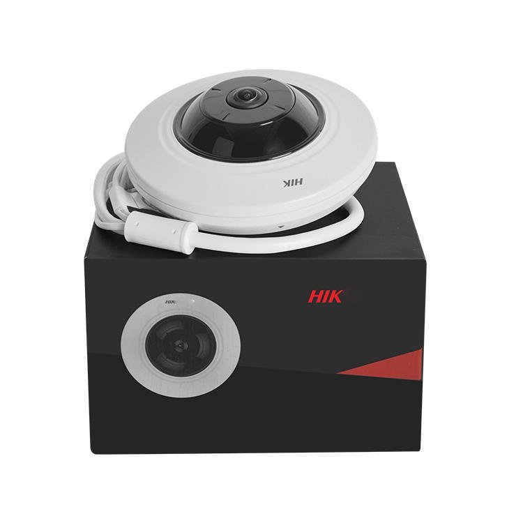 DS-2CD3956G2-IS Fish eye camera - Image 2